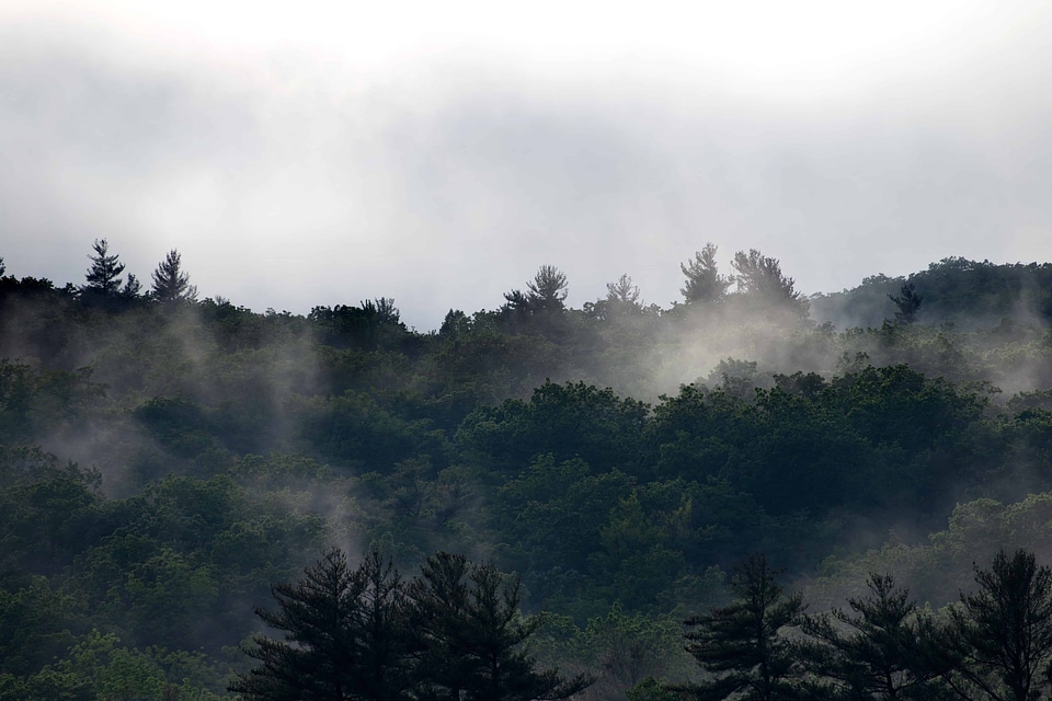 Atmosphere cloud dawn