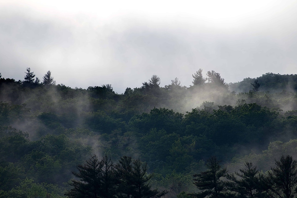 Atmosphere cloud dawn photo