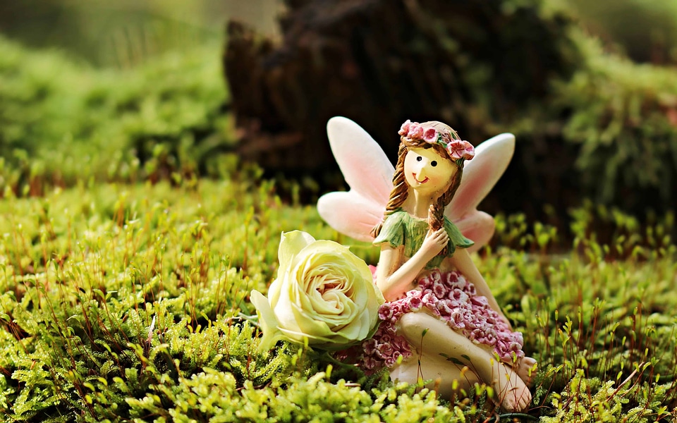Beautiful Photo blossom fairy