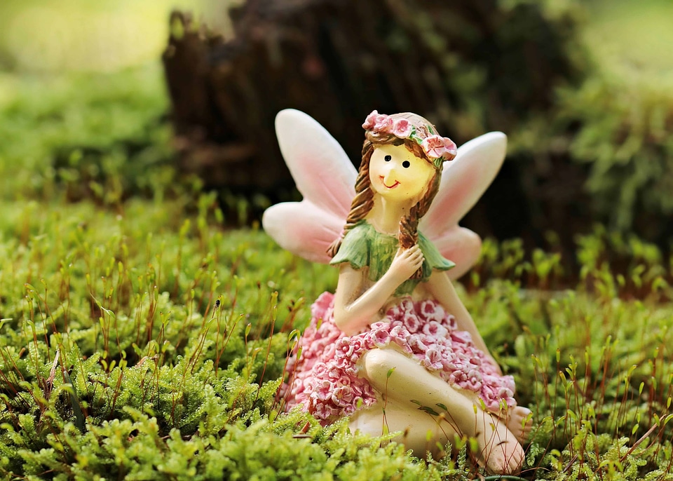 Beautiful Photo blossom fairy