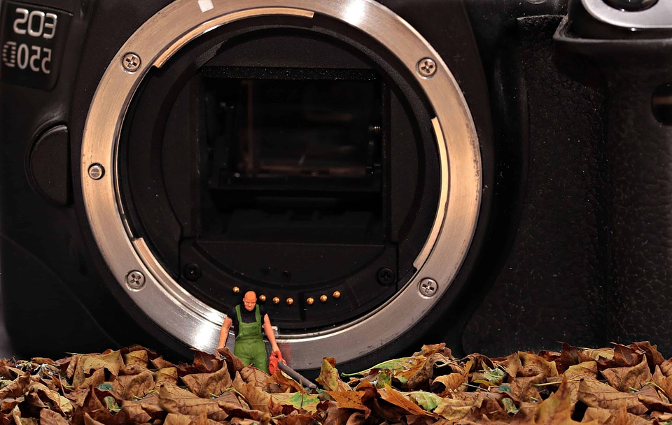 Aperture autumn autumn season