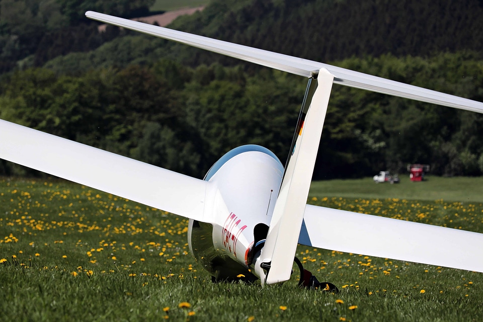 Aircraft airplane flora