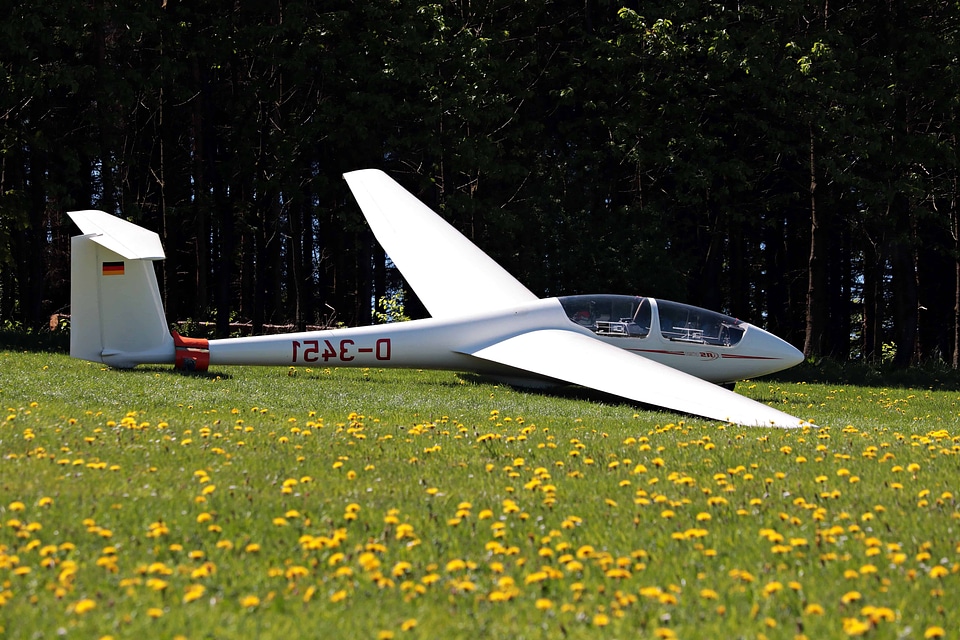 Aeroplano aircraft beautiful flowers