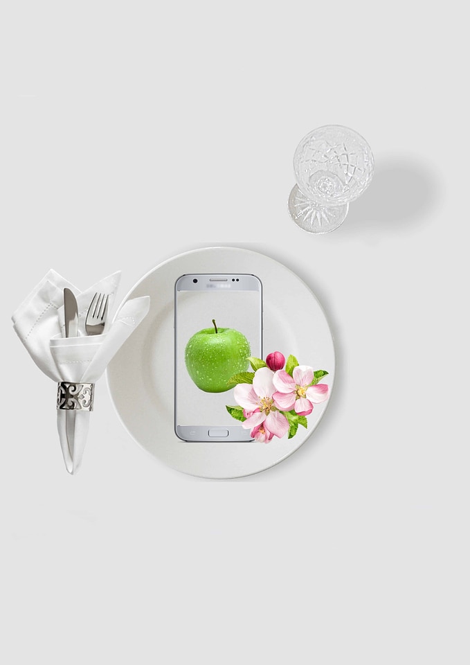 Apple beautiful flowers blossom