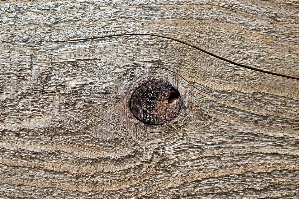 Beautiful Photo hardwood material
