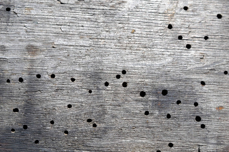 Abstract brown design