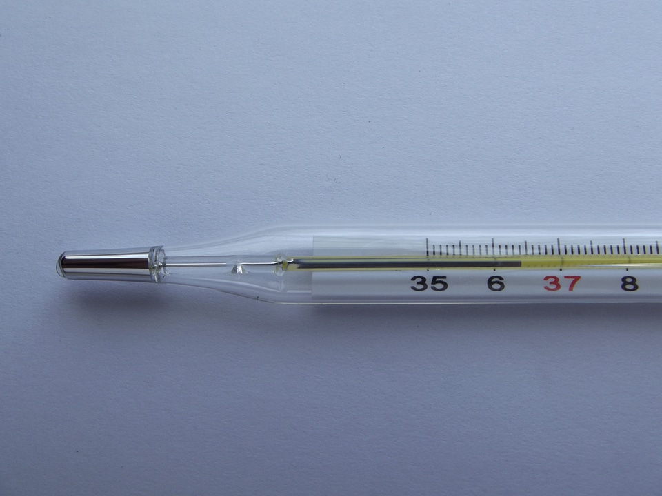 Thermometers celsius scale photo