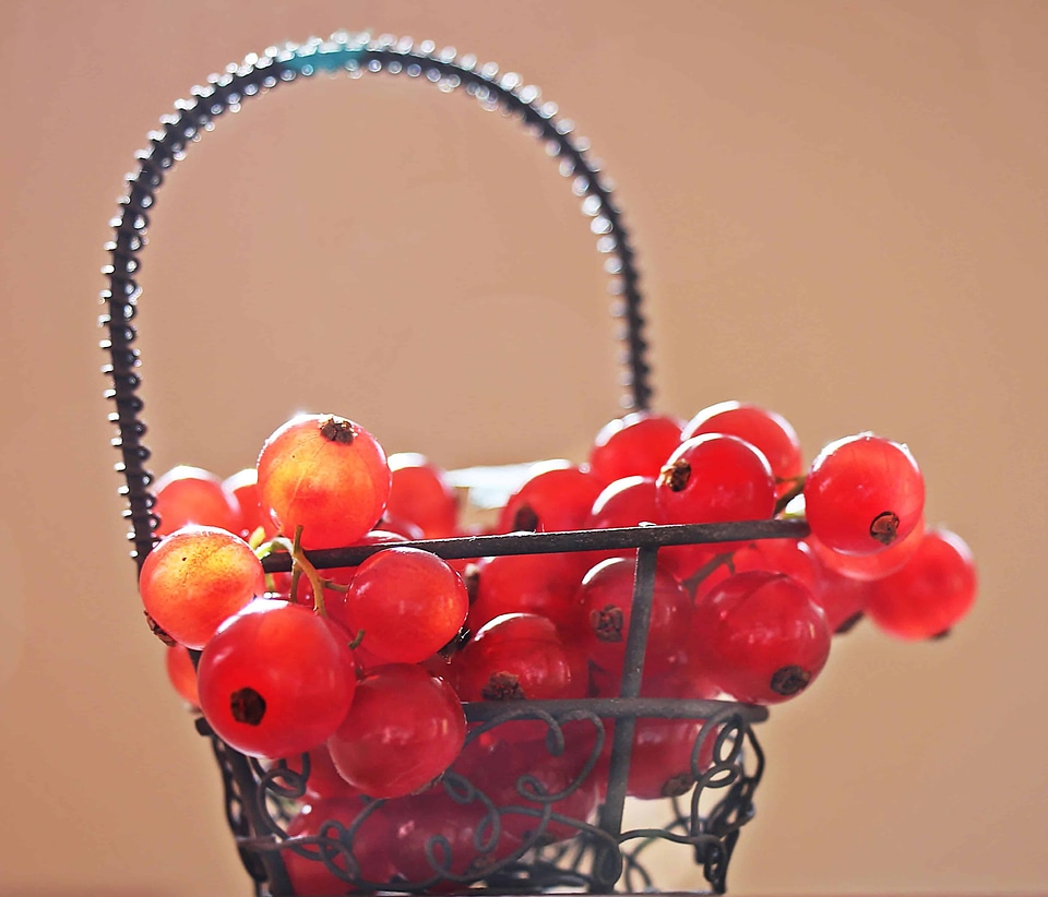 Basket berry currant