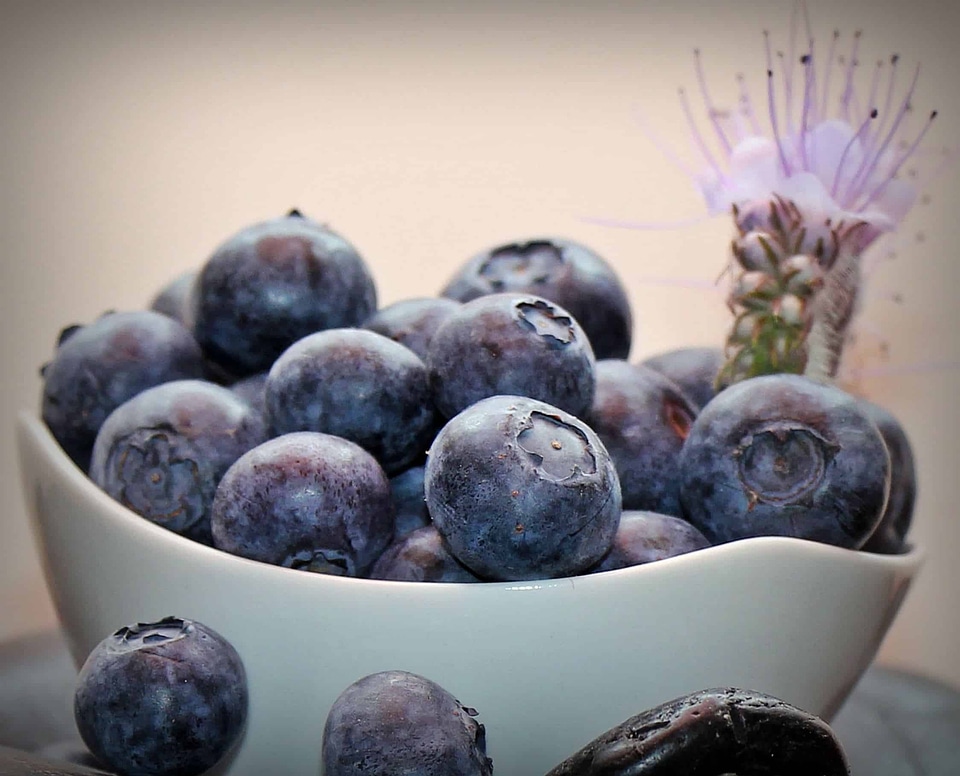 Blueberry bowl decoration