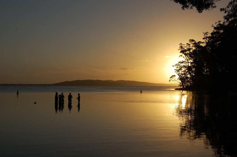 Sunset group landscape