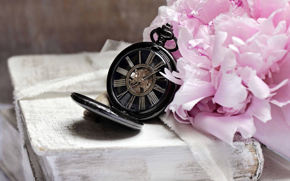 Beautiful Flowers beautiful photo book