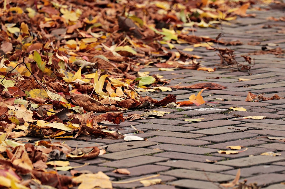 Autumn autumn season concrete
