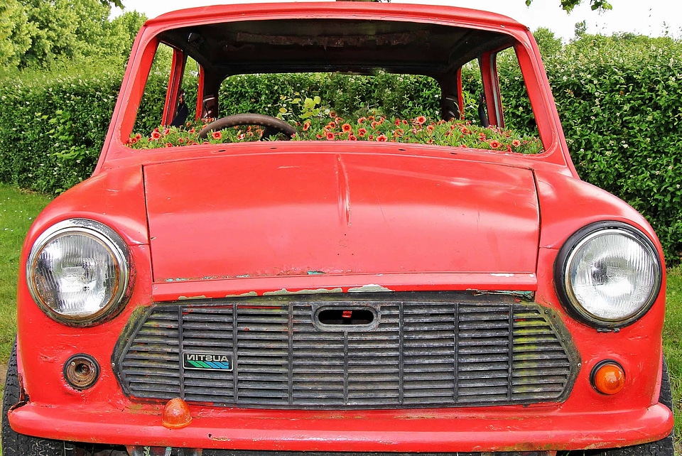 Automobile beautiful flowers blooming