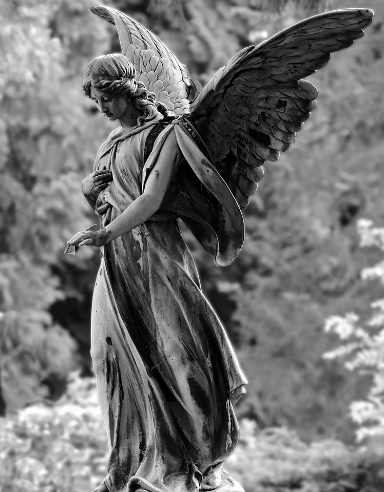 Angel art black and white photo