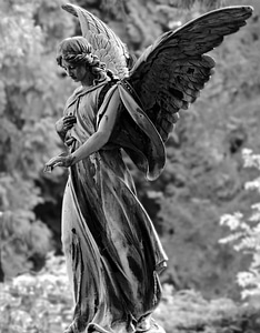 Angel art black and white photo