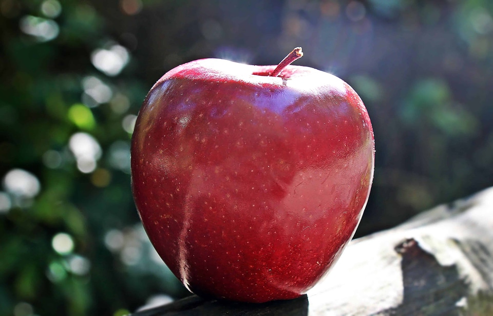 Apple daylight diet