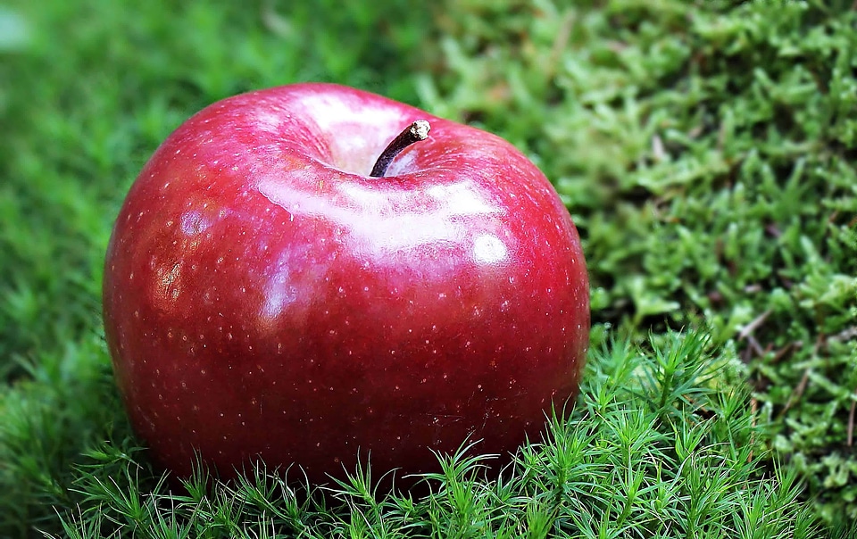 Apple calorie delicious
