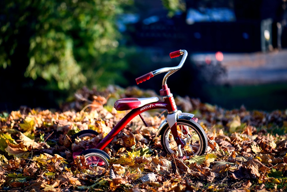 Beautiful Photo bicycle conveyance