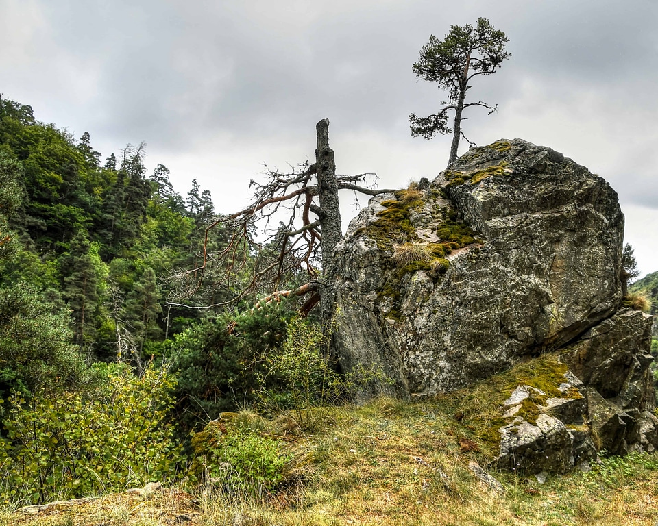 Big Rocks cloud flora