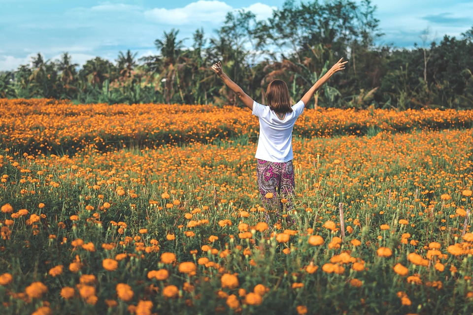 Agriculture beautiful beautiful flowers
