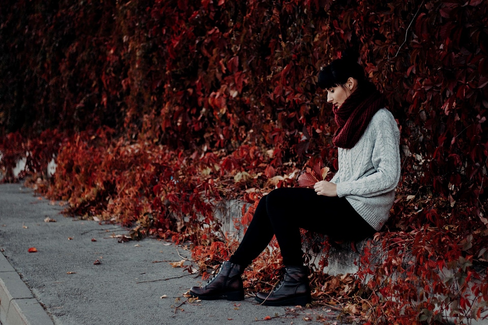 Autumn autumn season beautiful