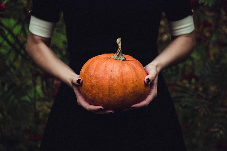 Autumn autumn season calorie