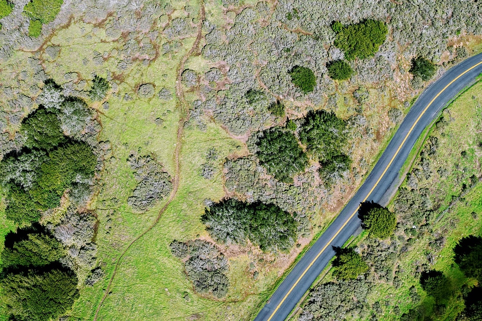 Distance nature old