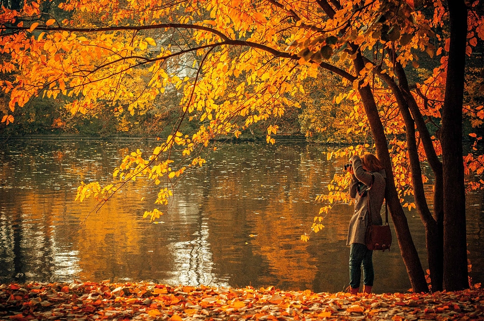Autumn autumn season beautiful photo