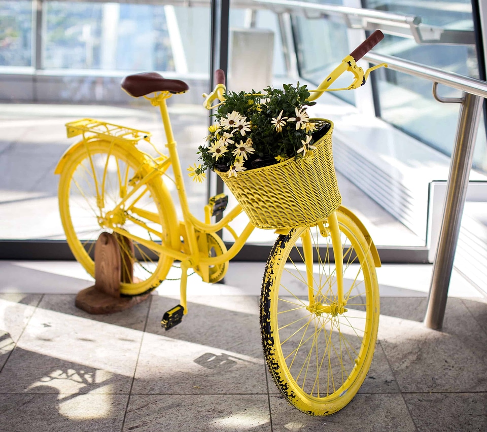 Antique bicycle conveyance