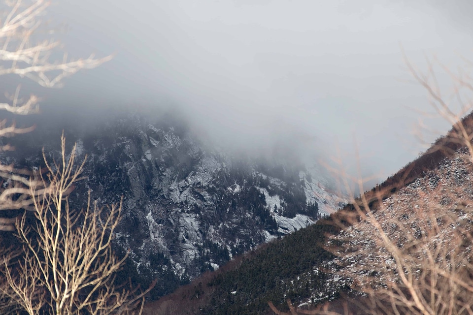 Branch cloud cold