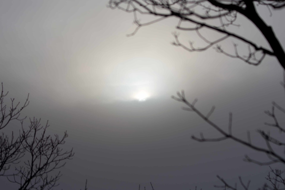 Atmosphere backlight bird