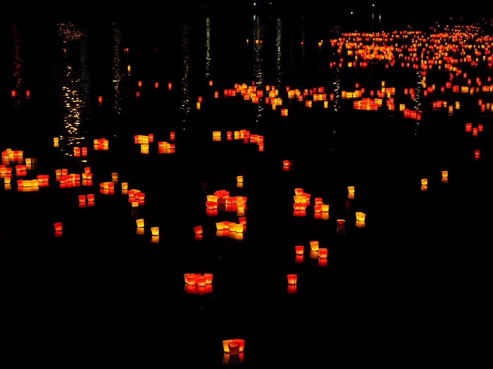 Festival of lights lights serenade ulm