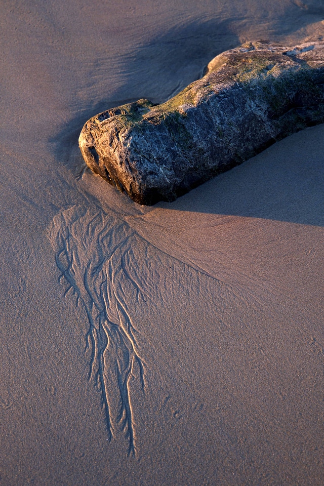 Beach daylight desert