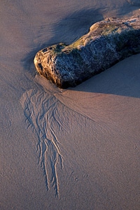 Beach daylight desert
