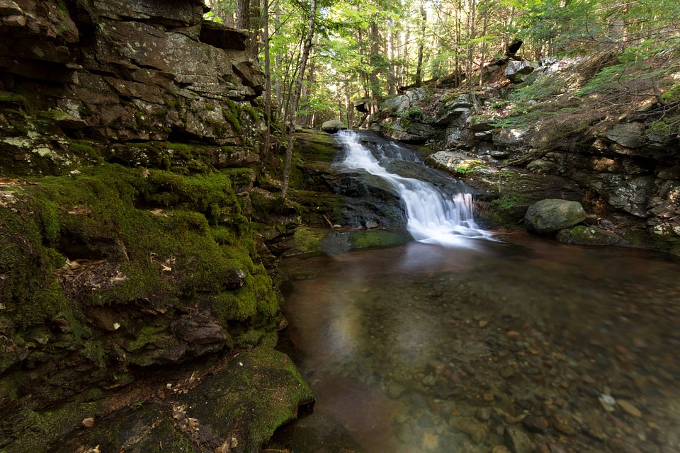 Creek environment forest photo