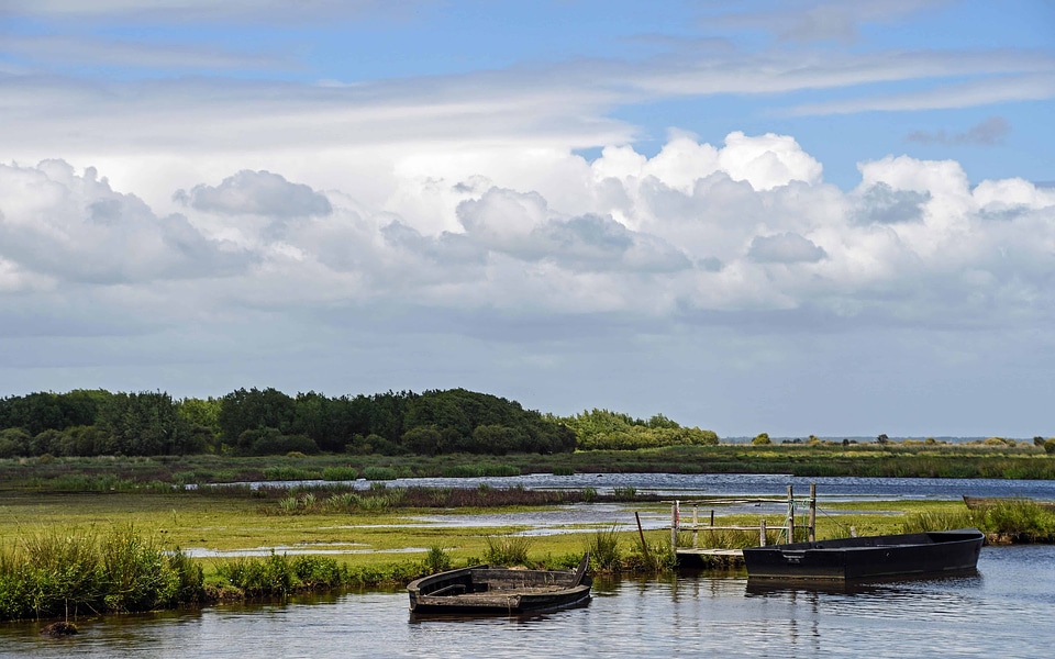 Coast lake landscape