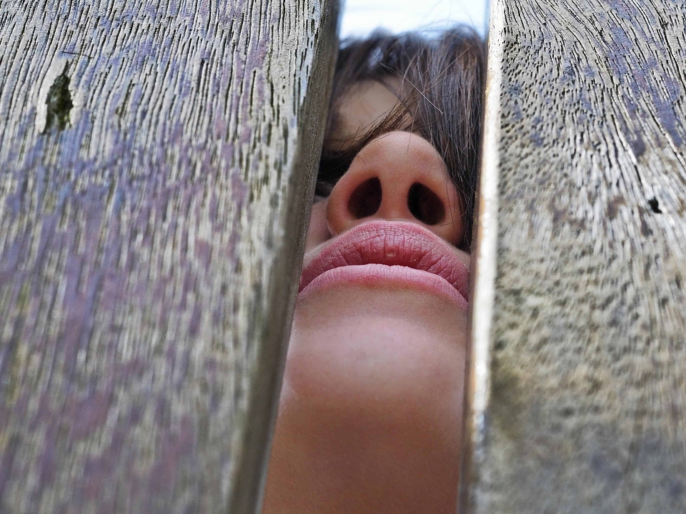 Beautiful fence girl