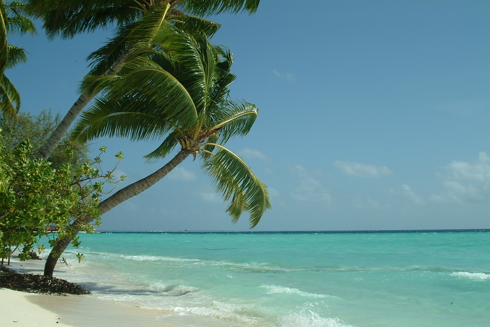Palma maldives beach