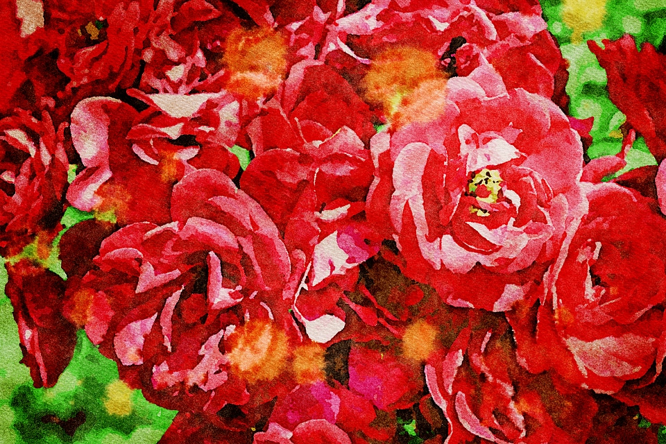 Art beautiful flower