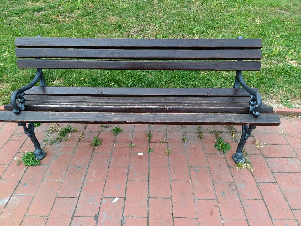 Bench flora foliage