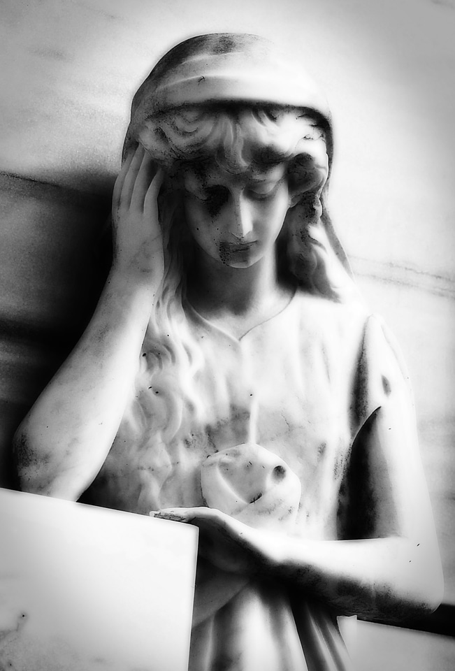 Black and white consider engrossment