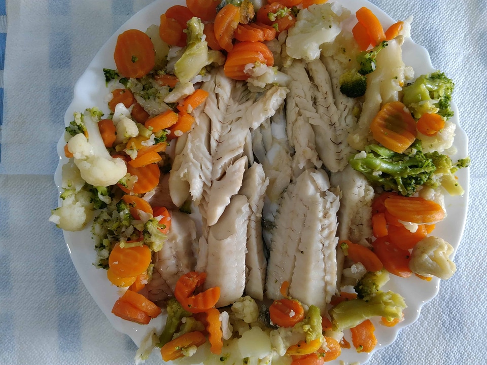 Animal appetizer beautiful photo