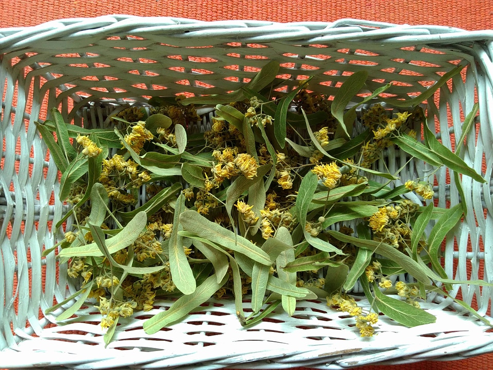 Basket flora flower