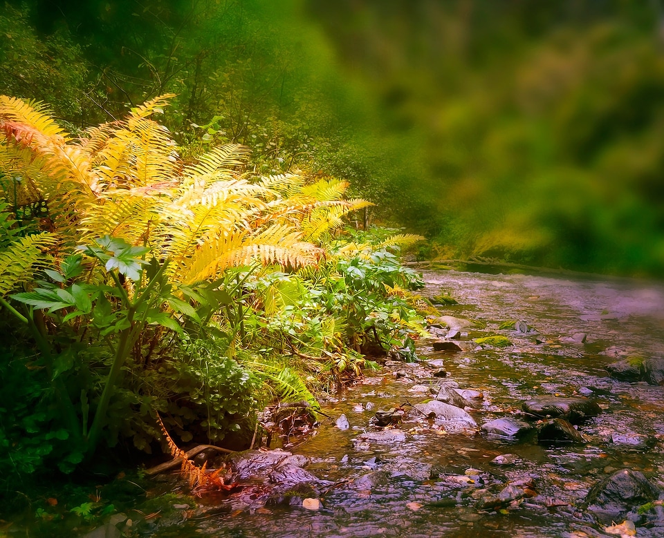 Nature landscape fairy tale