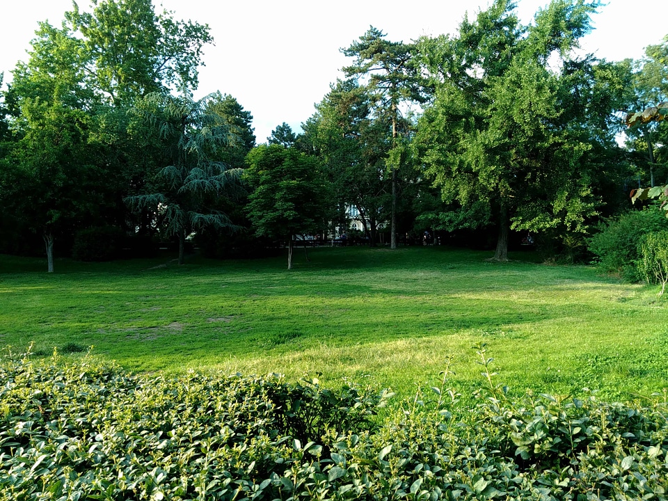 Cloud environment field