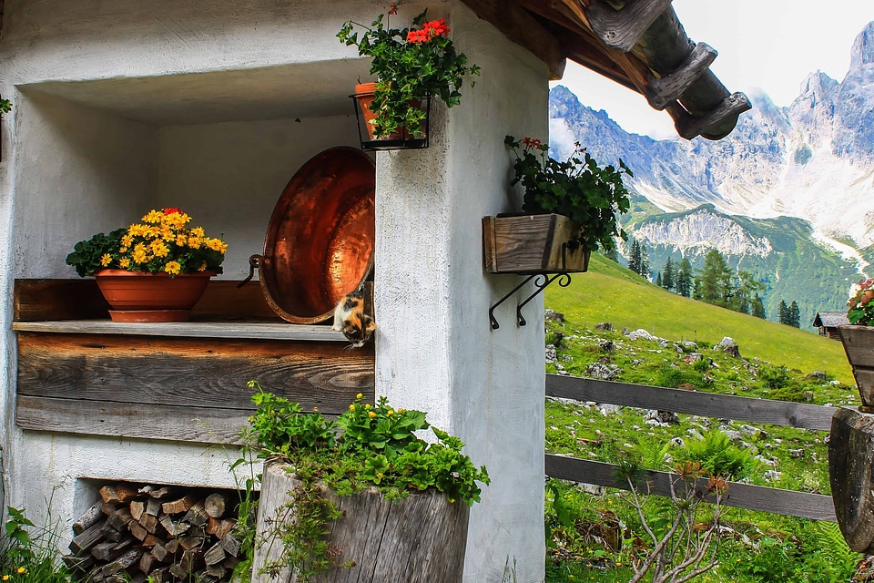 Architecture beautiful flowers blooming