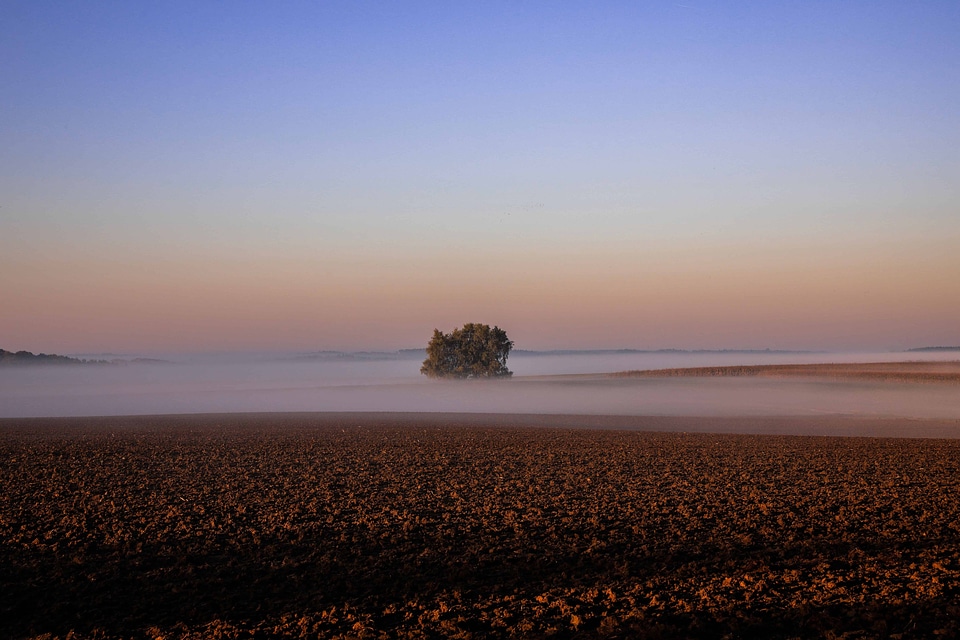 Dusk evening fog photo