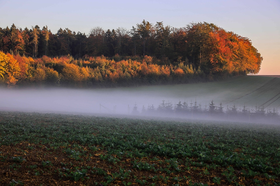 Coast fog foggy photo