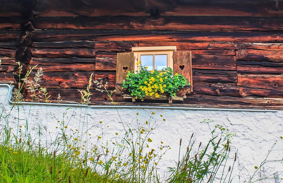 Architecture flora flower
