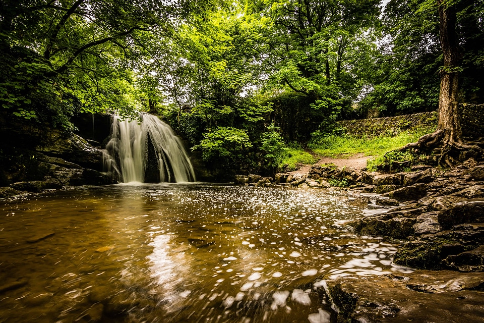 Beautiful Photo forest landscape
